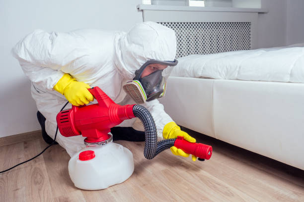 Trusted Northbrook, IL Pest Control Experts